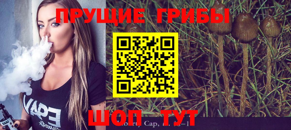 Галлюциногенные грибы Cubensis Темрюк