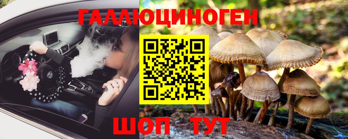 Темрюк  Галлюциногенные грибы прущие грибы  Вход с VPN 